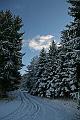 Bayerwald Tierpark_02